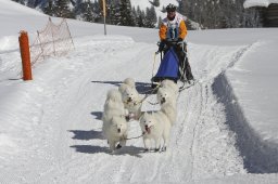 Kandersteg 2013